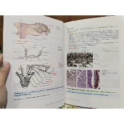 Y học sinh sản đại cương - Vương Thị Ngọc Lan, Âu Nhựt Luân 746055