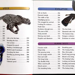 FANTASTIC SCIENCE FACTS - MILES KELLY 1044771