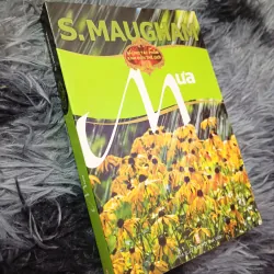 Mưa (tuyển tập truyện ngắn Maugham)