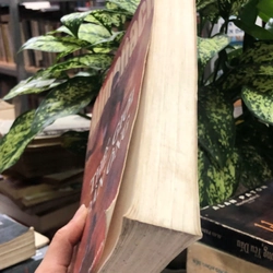 ALMANACH THẾ GIỚI ĐÀN ÔNG 451645