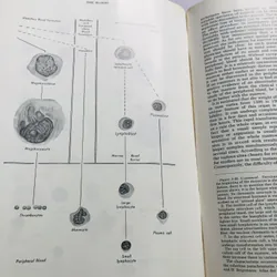 CLINICAL DIAGNOSIS BY LABORATORY METHODS (Todd – Sanford, Davisohn and Henry) 1969 721024