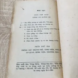 KỸ THUẬT TRỒNG CÂY ĐƯỜNG CÁI THÀNH PHỐ, NHÀ MÁY 956954