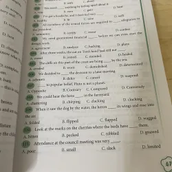 Rèn kỹ Nằng làm bài trắc nghiệm từ vựng  751121