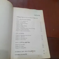 James Salant - LEAVING DIRTY JERSEY, a crystal meth memoir 737867