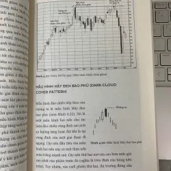 TUYỆT KỸ GIAO DỊCH BẰNG ĐỒ THỊ NẾN NHẬT - STEVE NISON 747000