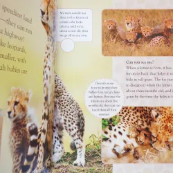 Big babies, little Babies: Discover the enchanting world of newborn animals 7899