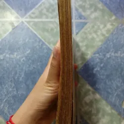 Truyện ngắn chọn lọc - Tướng về hưu 1000184