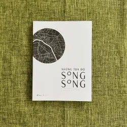 NHỮNG TOẠ ĐỘ SONG SONG (Sách còn mới) - Nguyễn Mai Chi