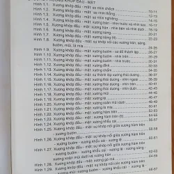 GIẢI PHẪU ĐẦU MẶT CO 752816