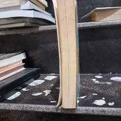 Wonder - R,J,Palacio1 1006823