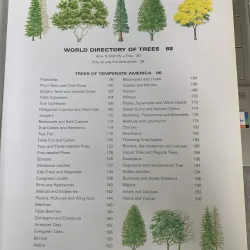 TREES OF THE WORLD (CÂY CỐI TRÊN THẾ GIỚI) - RUSSELL, CUTLER & WALTERS 795877