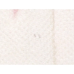 Áo khoác羽織 - Hàng hiệu Authentic 875925