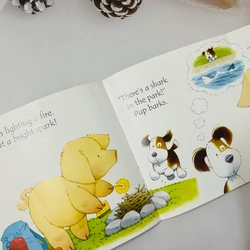 Usborne Phonic reader bộ cơ bản có trang lật mở 546054