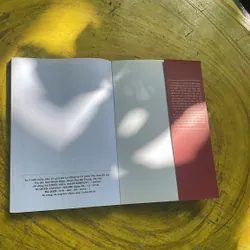 MỆNH VẬN HỌC CẦN BIẾT HÔM NAY- NGUYỄN TRÍ VƯƠNG 736027