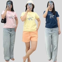 Áo Thun Nữ Cotton Form Cơ Bản Size SML Hồng - Xanh - Vàng Hàng Mới