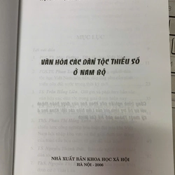 VĂN HÓA CÁC DÂN TỘC THIỂU SỐ Ở NAM BỘ - NGUYỄN THÚY MAI (BIÊN TẬP NỘI DUNG) 548632