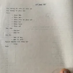 Tài liệu huấn luyện Y sĩ, Nguyễn Vinh 608530