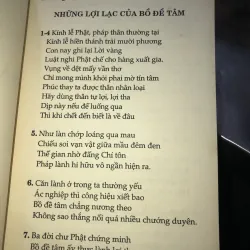 Nhập bố tát hạnh - Đại sư tịch thiện-Shantideva 1009131