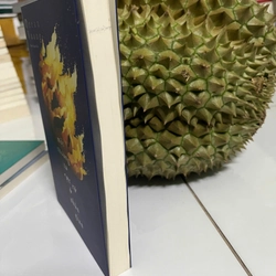 Một Thoáng Ta Rực Rỡ Ở Nhân Gian 446483
