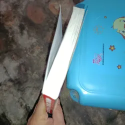 Tà không thắng chánh 1021417