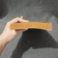 Lý Tiểu Long cuộc đời và võ công - Lạc Việt & Phạm Xuân Thảo - Năm 1991 597064