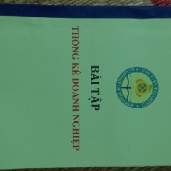 Bài tập Thống kê doanh nghiệp 66718