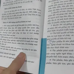 Luật Sở Hữu Trí Tuệ Và Nghị Định Hướng Dẫn Về Quyền Tác Giả, Quyền Liên Quan 727366