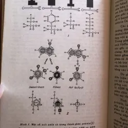Di truyền học và cơ sở chọn giống - Đ.Ph.Petrop 1029111