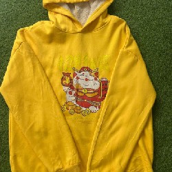 Hoodie freesize cho cả nam và nữ  46287