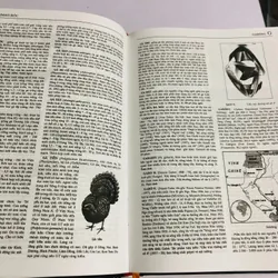 📚 TỪ ĐIỂN BÁCH KHOA VIỆT NAM – TẬP 2 601981