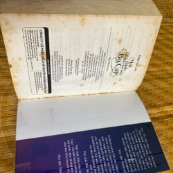 Mối tình đầu của nàng Bọ Cạp 507114