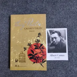 Thấy Phật - Cao Huy Thuần