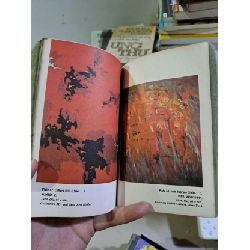 Modern American Painting and Sculpture by Sam Hunter mới 70% ố rách bìa 1962 ENGLISH BOOKS HCM2908 922534