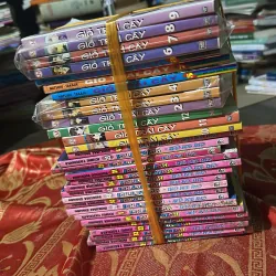 14kg truyện decol  763101