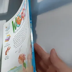 Gấu Bogie Học Từ - NXB Dân Trí - Đông A (Dan Tri - Dong A Publishing) 607708