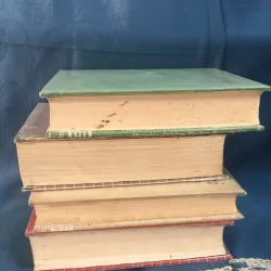 anh em nhà Karamazov, tội ác và hình phạt, chàng ngốc, lũ người quỷ ám 788249