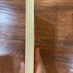 Máu Hiếm - Phan Hồn Nhiên (9) 450562