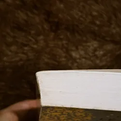 Lễ hội tháng ba  698385