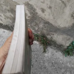 Từ kí hiệu đến biểu tượng do Trịnh Bá Đĩnh chủ biên  1006750