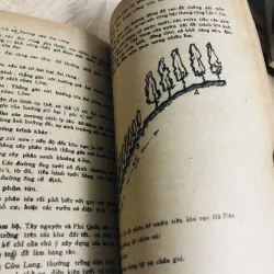 KỸ THUẬT TRỒNG TIÊU 956884