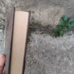 Phu nhân Makbet ở quận Misenski tập truyện của Nikolai Leskov 1003421