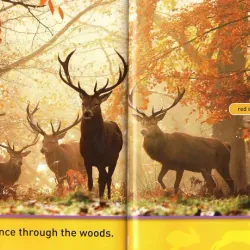 National geographic (Sách nhập) - Pre K - 30 quyển + File Mp3 759648