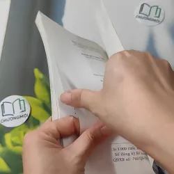 Bánh mứt xôi chè - Nguyễn Thị Phụng 1018805