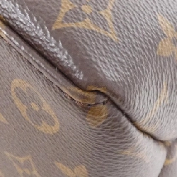 Túi Louis Vuitton Monogram Petit Palais PM M45900 615599