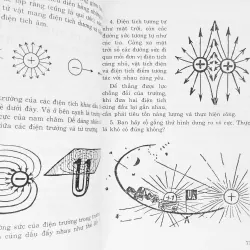 Điện tử học lý thú 8146