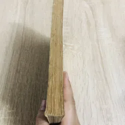 TRUYỆN CƯỜI CỔ NHÂN ( Vương Hồng Sển sưu tầm) 957301