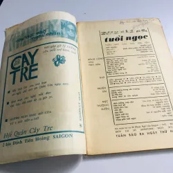 Duy nhất 1 tờ báo tuổi Ngọc 1971 776918