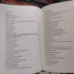 sách: Từ điển Tiếng Việt của GS. Nguyễn Lân - Phê Bình và Khảo Cứu - Hoàng Tuấn Công (A1) 570394