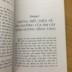 Cổ vật huyền bí 442603