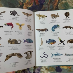 An Anthology of Intriguing Animals 538463
